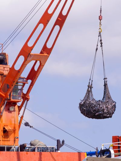 Crane on large fishing boat is lifting tuna fish to transferring into Refrigerated truck at harbor